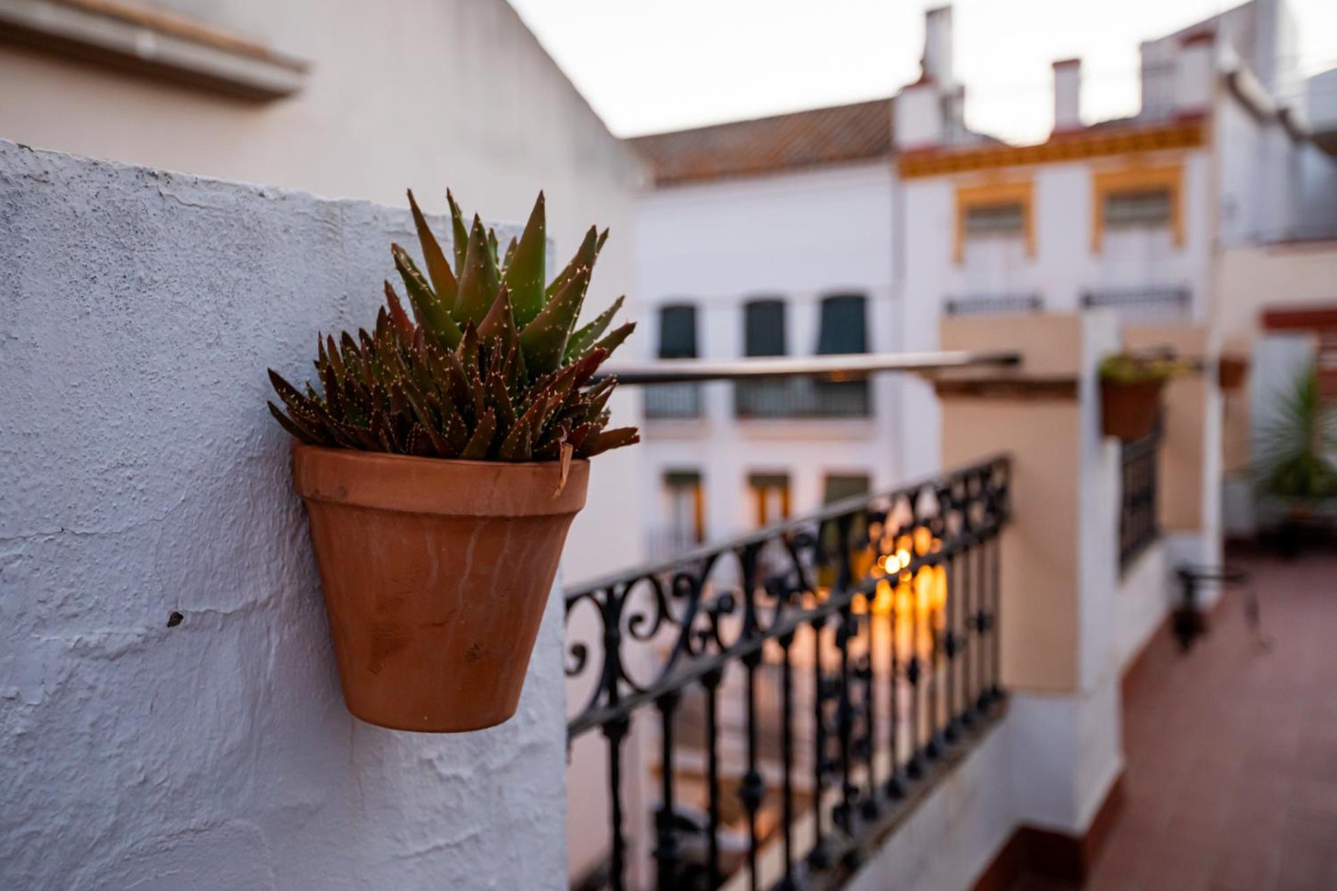 סביליה Apartamentos Dona Concha מראה חיצוני תמונה